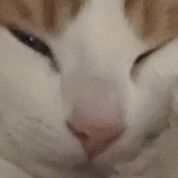 Meet your Posher, Samsara - Picture 1 of 1